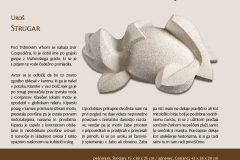 Skulpte-2024-Katalog6