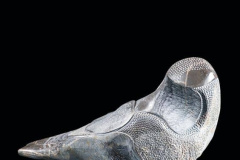 2020-Ptica-50x28x30-cm